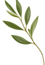 ChatGPT Image 19. 9. 2026 09_03_40 OTOC